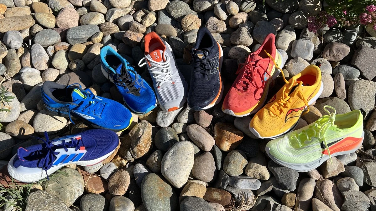 Ecco Store Online -Ecco Store Online sbn